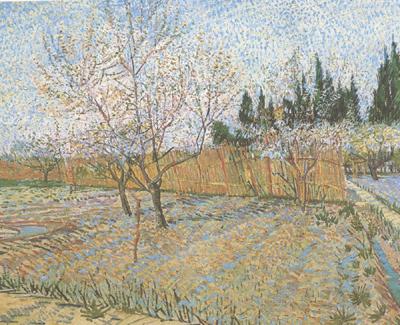 Vincent Van Gogh Orchard with Peach Trees in Blossom (nn04) Norge oil painting art